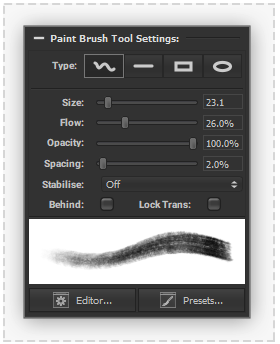 PaintBrushToolSettings.png