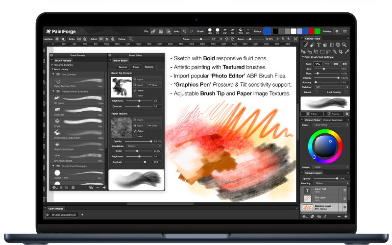File:PaintScreenShotsWiki02.png
